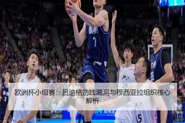 ou-zhou-bei-xiao-zu-sai-lv-di-ge-fang-xian-lou-dong-yu-mu-xi-ya-la-zu-zhi-he-xin-jie-xi-2-750.jpg